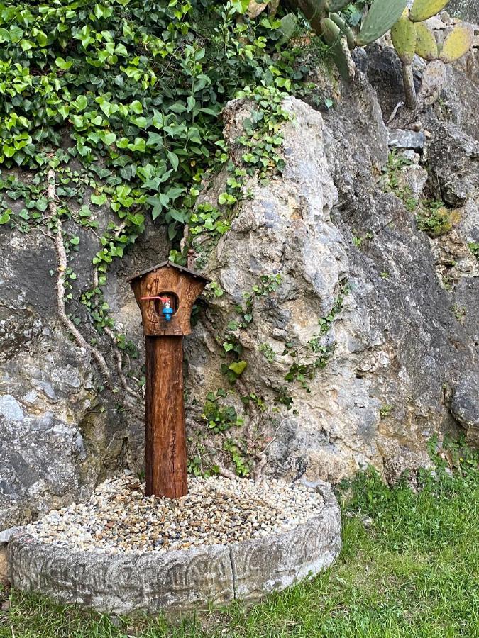 Villa Paolina Ceriale - App. 6 Posti 外观 照片