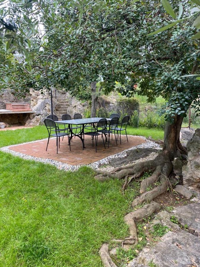 Villa Paolina Ceriale - App. 6 Posti 外观 照片