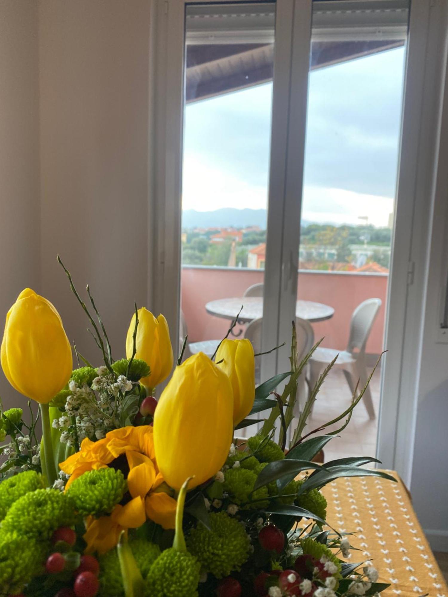 Villa Paolina Ceriale - App. 6 Posti 外观 照片